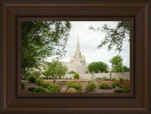 Load image into Gallery viewer, Phoenix Spring Blooms