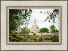 Load image into Gallery viewer, Phoenix Spring Blooms