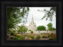 Load image into Gallery viewer, Phoenix Spring Blooms