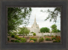Load image into Gallery viewer, Phoenix Spring Blooms