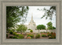 Load image into Gallery viewer, Phoenix Spring Blooms