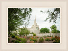 Load image into Gallery viewer, Phoenix Spring Blooms