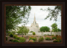 Load image into Gallery viewer, Phoenix Spring Blooms