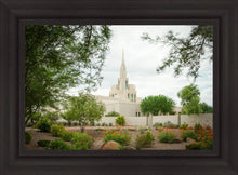 Load image into Gallery viewer, Phoenix Spring Blooms