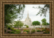 Load image into Gallery viewer, Phoenix Spring Blooms