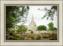 Load image into Gallery viewer, Phoenix Spring Blooms