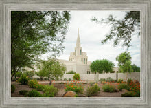 Load image into Gallery viewer, Phoenix Spring Blooms