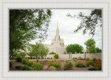 Load image into Gallery viewer, Phoenix Spring Blooms