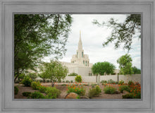 Load image into Gallery viewer, Phoenix Spring Blooms