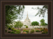 Load image into Gallery viewer, Phoenix Spring Blooms