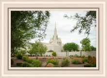 Load image into Gallery viewer, Phoenix Spring Blooms