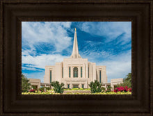 Load image into Gallery viewer, Gilbert Summer Joy