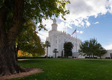 Load image into Gallery viewer, Saint George Fall Leaves