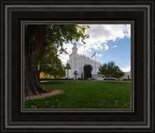 Load image into Gallery viewer, Saint George Fall Leaves