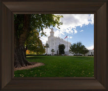 Load image into Gallery viewer, Saint George Fall Leaves