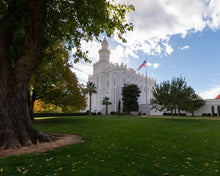 Load image into Gallery viewer, Saint George Fall Leaves