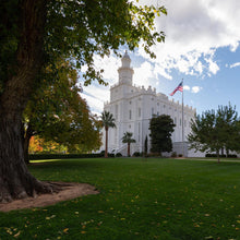 Load image into Gallery viewer, Saint George Fall Leaves