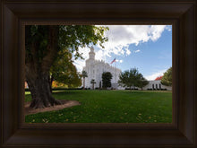 Load image into Gallery viewer, Saint George Fall Leaves