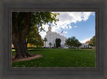 Load image into Gallery viewer, Saint George Fall Leaves