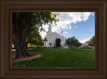 Load image into Gallery viewer, Saint George Fall Leaves