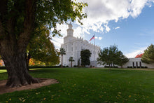 Load image into Gallery viewer, Saint George Fall Leaves