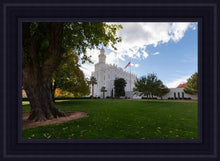 Load image into Gallery viewer, Saint George Fall Leaves