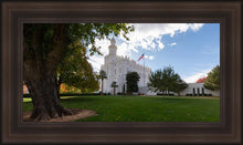 Load image into Gallery viewer, Saint George Fall Leaves