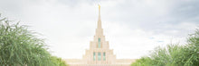 Load image into Gallery viewer, Phoenix Arizona Glorious Day