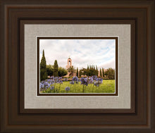 Load image into Gallery viewer, Newport Beach California Blooming Afternoon