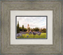 Load image into Gallery viewer, Newport Beach California Blooming Afternoon