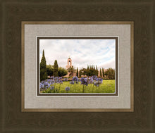 Load image into Gallery viewer, Newport Beach California Blooming Afternoon