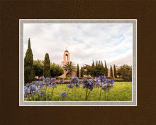 Load image into Gallery viewer, Newport Beach California Blooming Afternoon