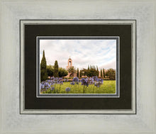 Load image into Gallery viewer, Newport Beach California Blooming Afternoon