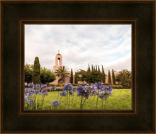 Load image into Gallery viewer, Newport Beach California Blooming Afternoon