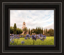 Load image into Gallery viewer, Newport Beach California Blooming Afternoon