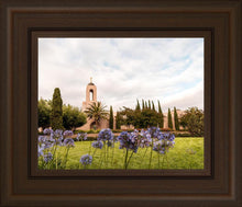 Load image into Gallery viewer, Newport Beach California Blooming Afternoon