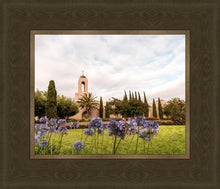 Load image into Gallery viewer, Newport Beach California Blooming Afternoon