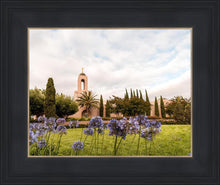Load image into Gallery viewer, Newport Beach California Blooming Afternoon
