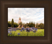 Load image into Gallery viewer, Newport Beach California Blooming Afternoon