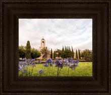Load image into Gallery viewer, Newport Beach California Blooming Afternoon