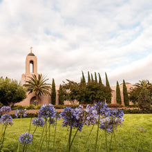 Load image into Gallery viewer, Newport Beach California Blooming Afternoon