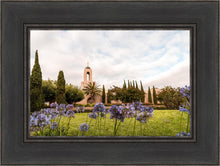 Load image into Gallery viewer, Newport Beach California Blooming Afternoon