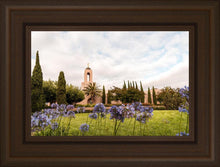 Load image into Gallery viewer, Newport Beach California Blooming Afternoon
