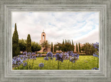 Load image into Gallery viewer, Newport Beach California Blooming Afternoon
