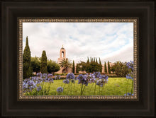 Load image into Gallery viewer, Newport Beach California Blooming Afternoon