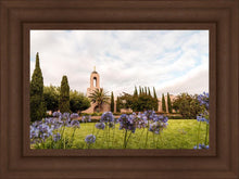 Load image into Gallery viewer, Newport Beach California Blooming Afternoon