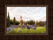 Load image into Gallery viewer, Newport Beach California Blooming Afternoon
