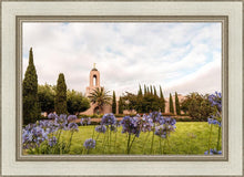 Load image into Gallery viewer, Newport Beach California Blooming Afternoon