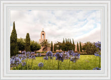 Load image into Gallery viewer, Newport Beach California Blooming Afternoon