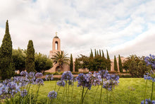 Load image into Gallery viewer, Newport Beach California Blooming Afternoon